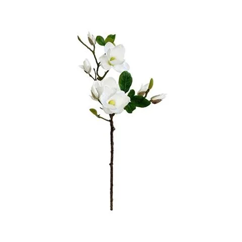 Wybór klientów GAŁĄZKA MAGNOLII BIAŁEJ 79 CM | SPENSEN