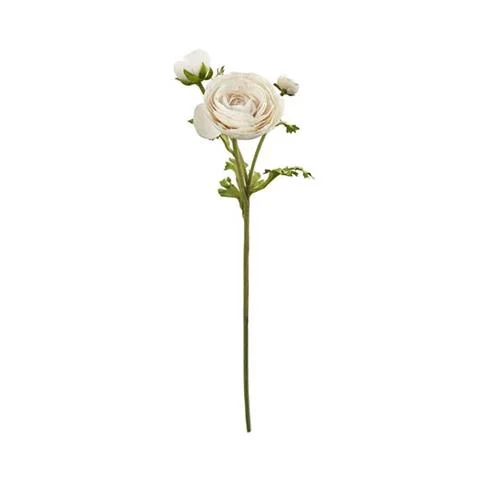 GAŁĄZKA RANUNCULUS CREAM 58 CM | SPENSEN Premium