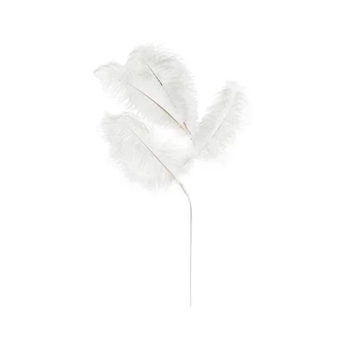Szybka wysyłka GAŁĄZKA Z PIÓR STRUSIA WHITE 88 CM | SPENSEN